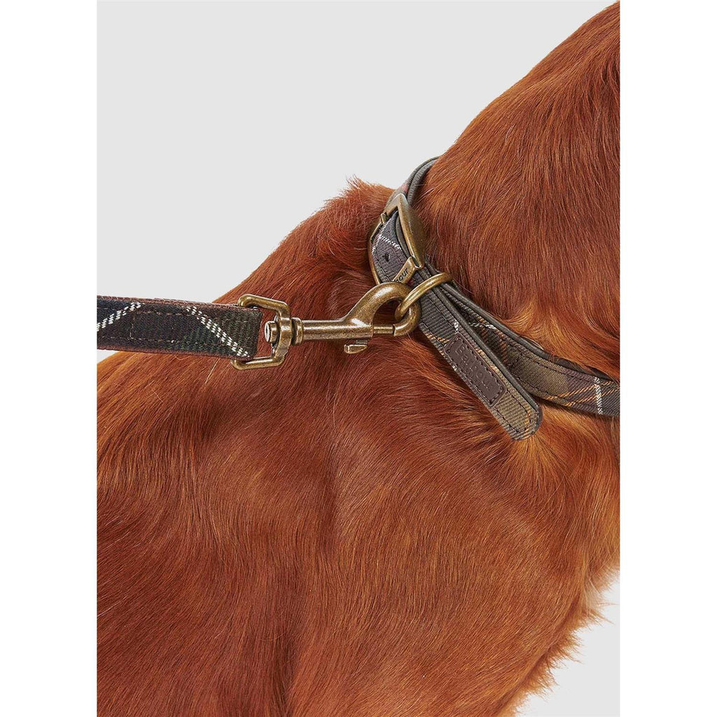 Tartan Webbing Collar F500328