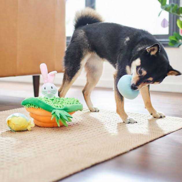 Easter Basket Plush Squeaky Dog Toy E361929