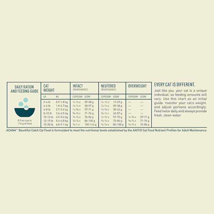 Dry Cat Food I400229