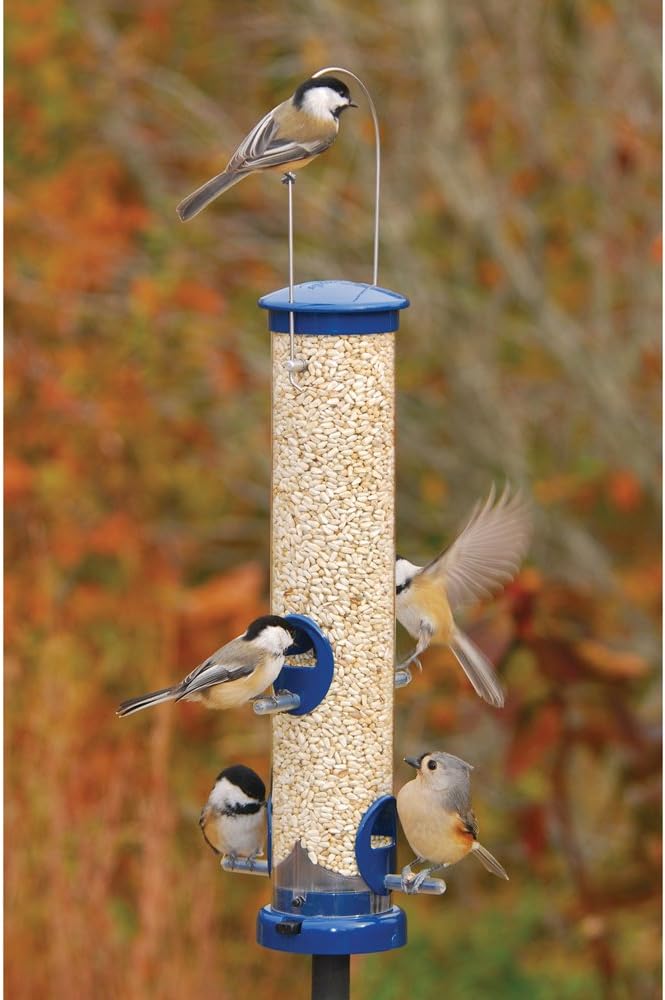 Brushed Nickel Seed Tube Feeder, Pack of 2 K38588