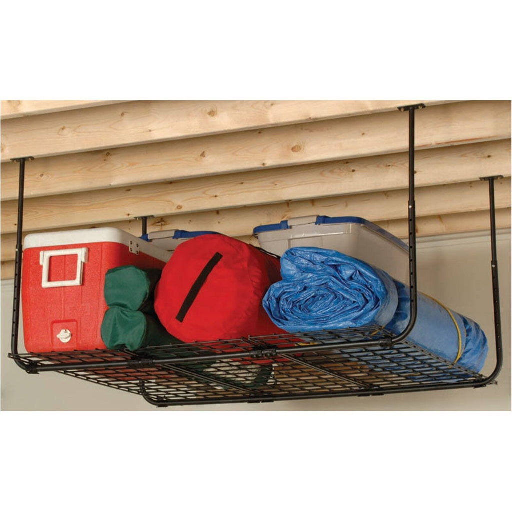 Ceiling Storage A46580