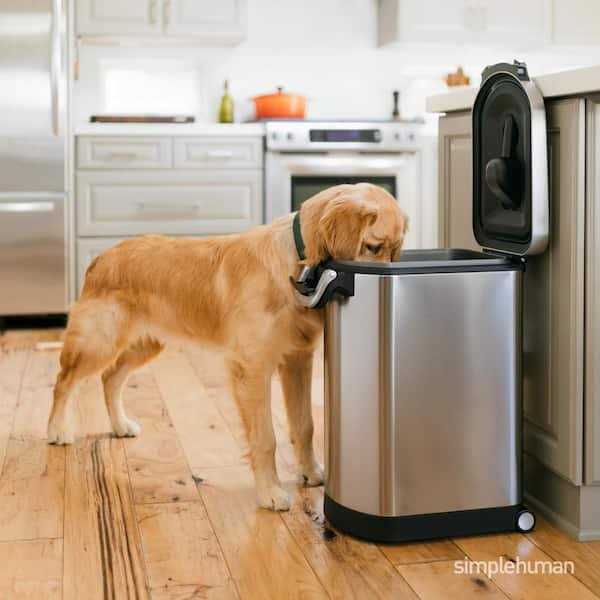 Stainless Steel Pet Food Storage L574823