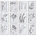 Contemporary Botanicals Framed Prints (Set of 12) J444946