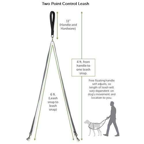 Two Point Control Dog Leash R2198