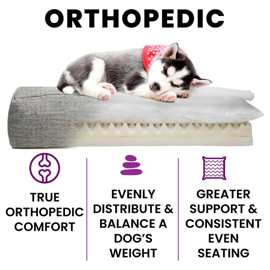 Orthopedic Dog Bed B307103