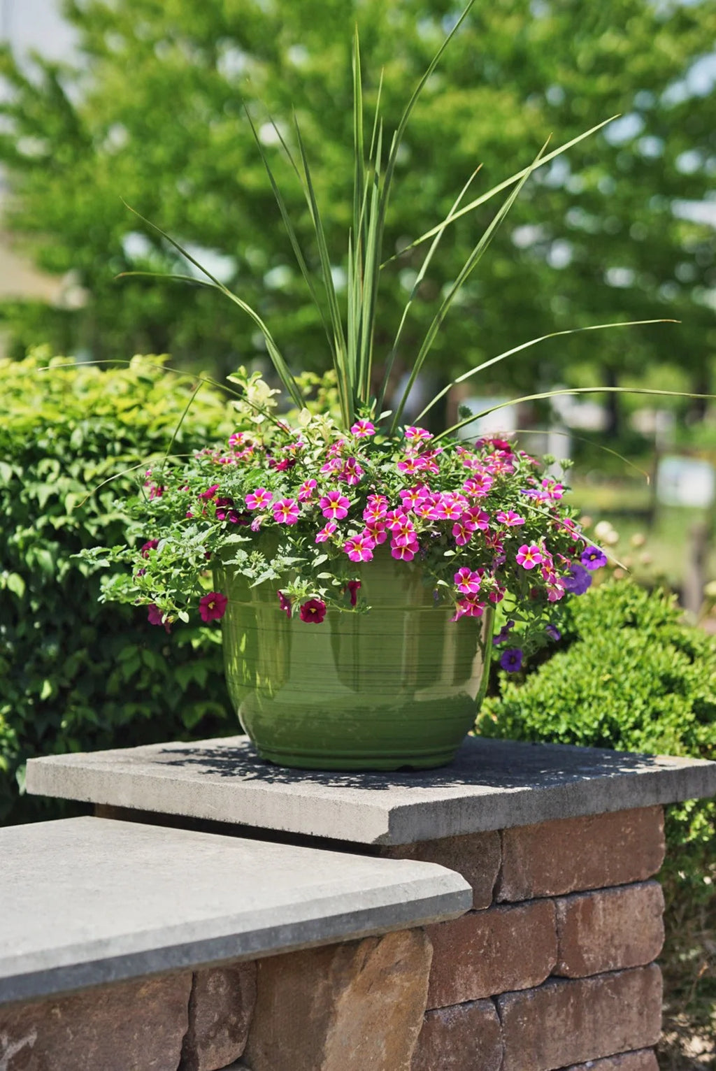 Dark Green 15" Glazed Plastic Planter M9038