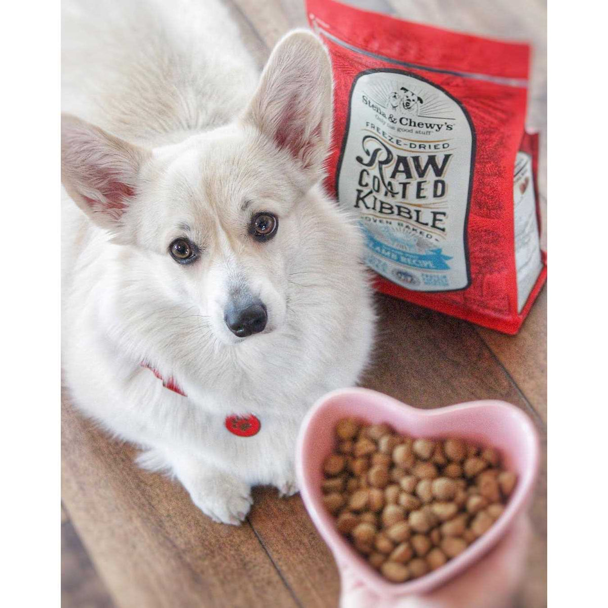 Puppy Raw Coated Kibble W824