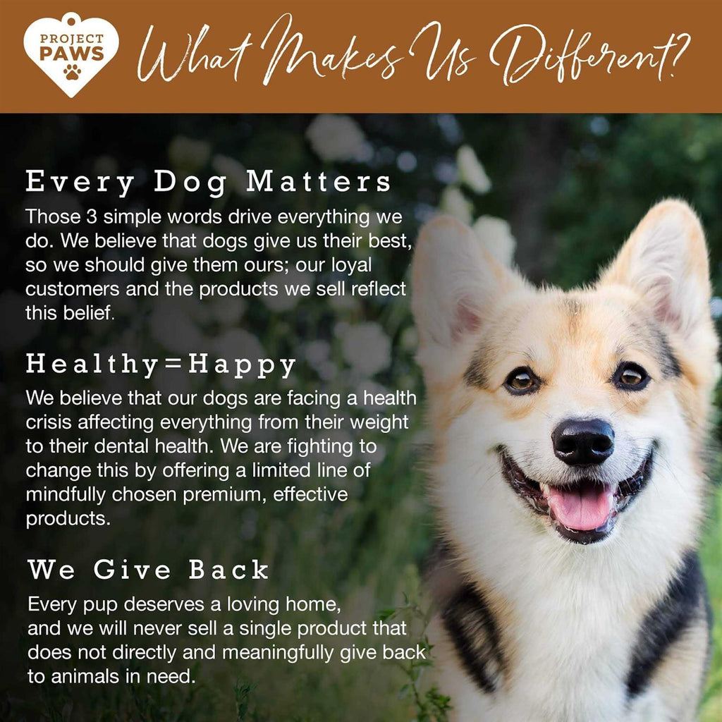 Bone Broth for Dogs with Elk Antler and Bone Collagen E59271