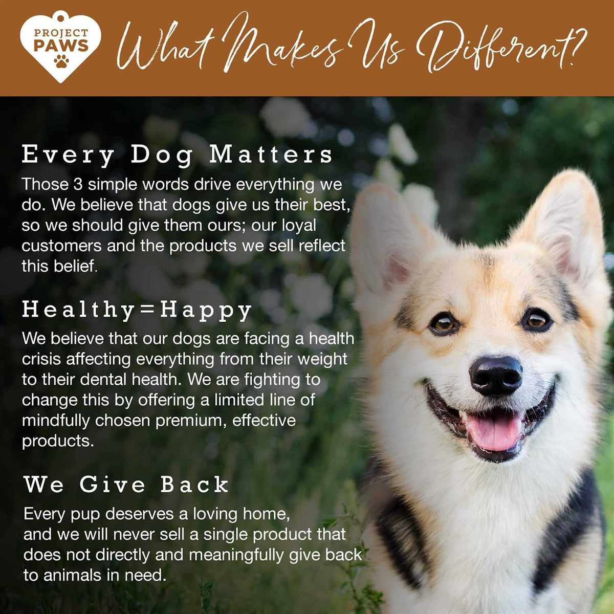 Bone Broth for Dogs with Elk Antler and Bone Collagen E59271