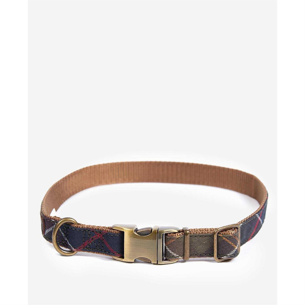 Tartan Webbing Collar F500328