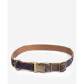 Tartan Webbing Collar F500328