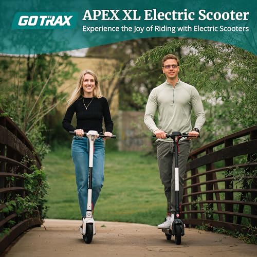 All Aluminum Electric Scooter E325753