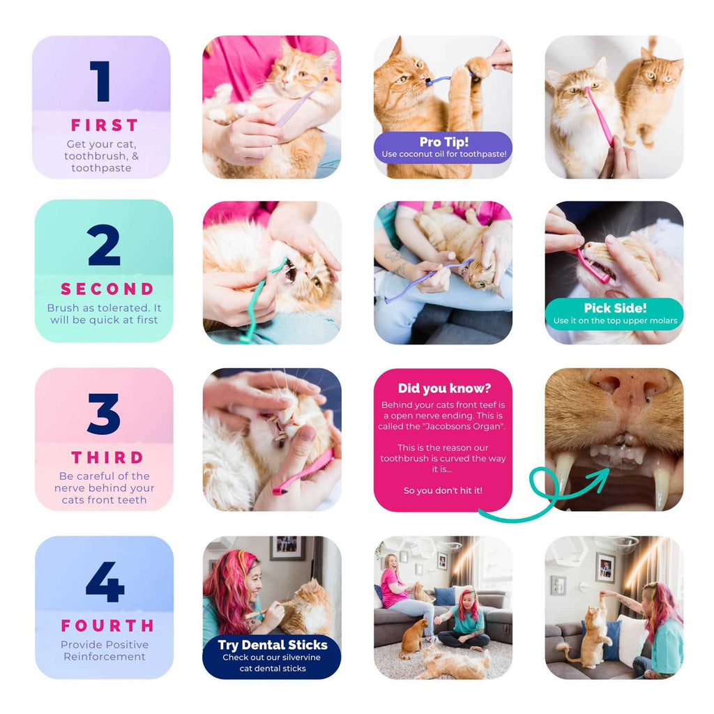 Dual Sided Cat Toothbrush B365280