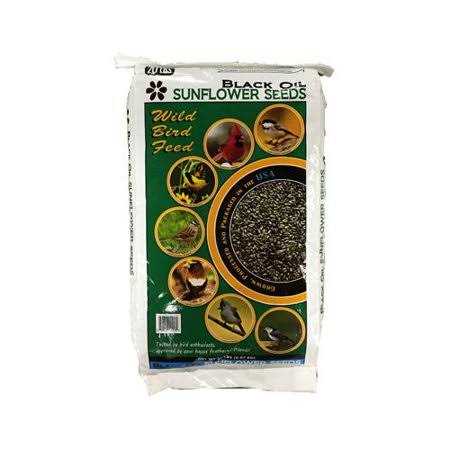 20-Lb. Black Oil Sunflower Bird Seeds D235