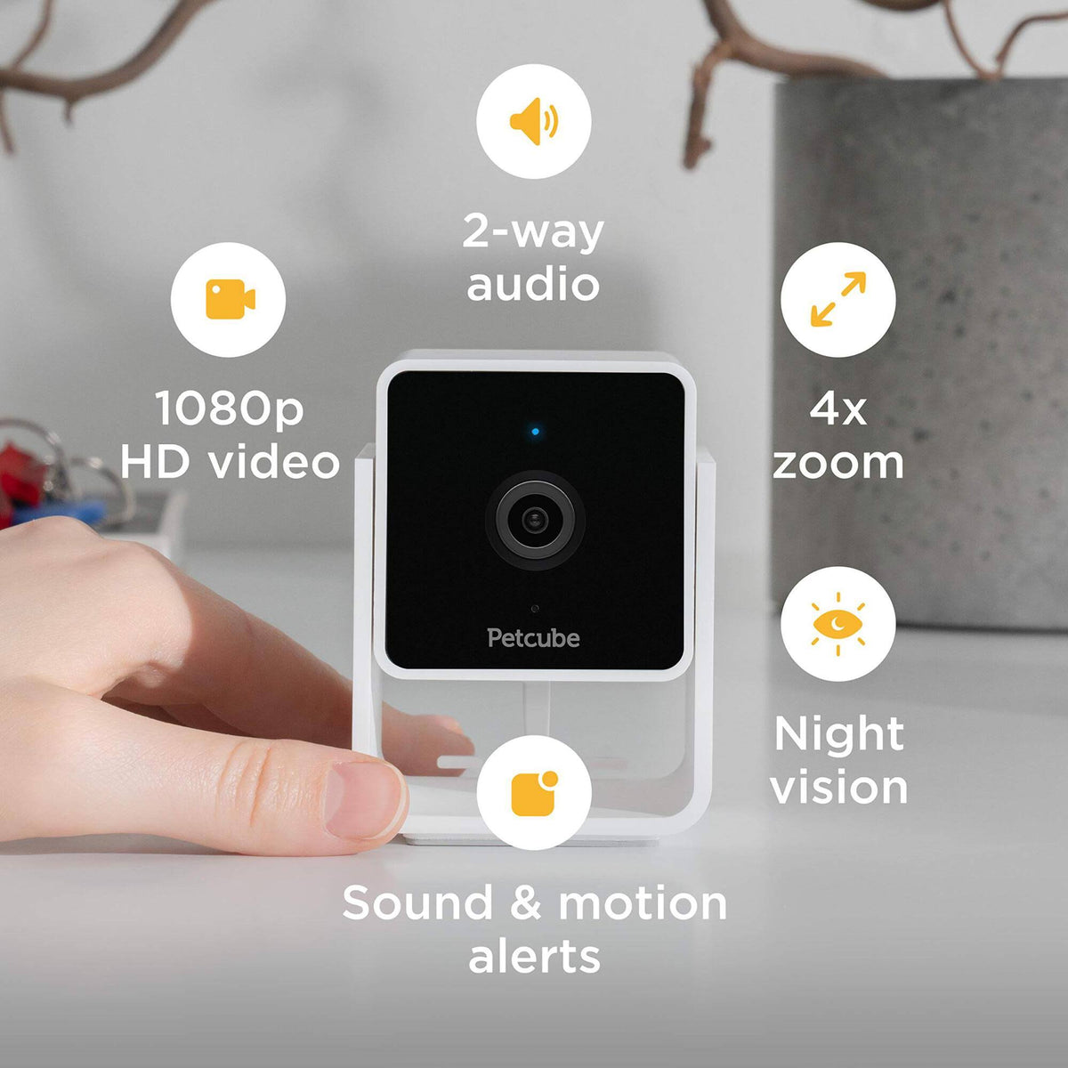 2 Cam Pet Monitoring Camera (Refurbished) F5971