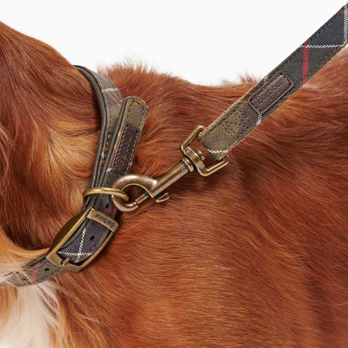 Tartan Webbing Collar F500328