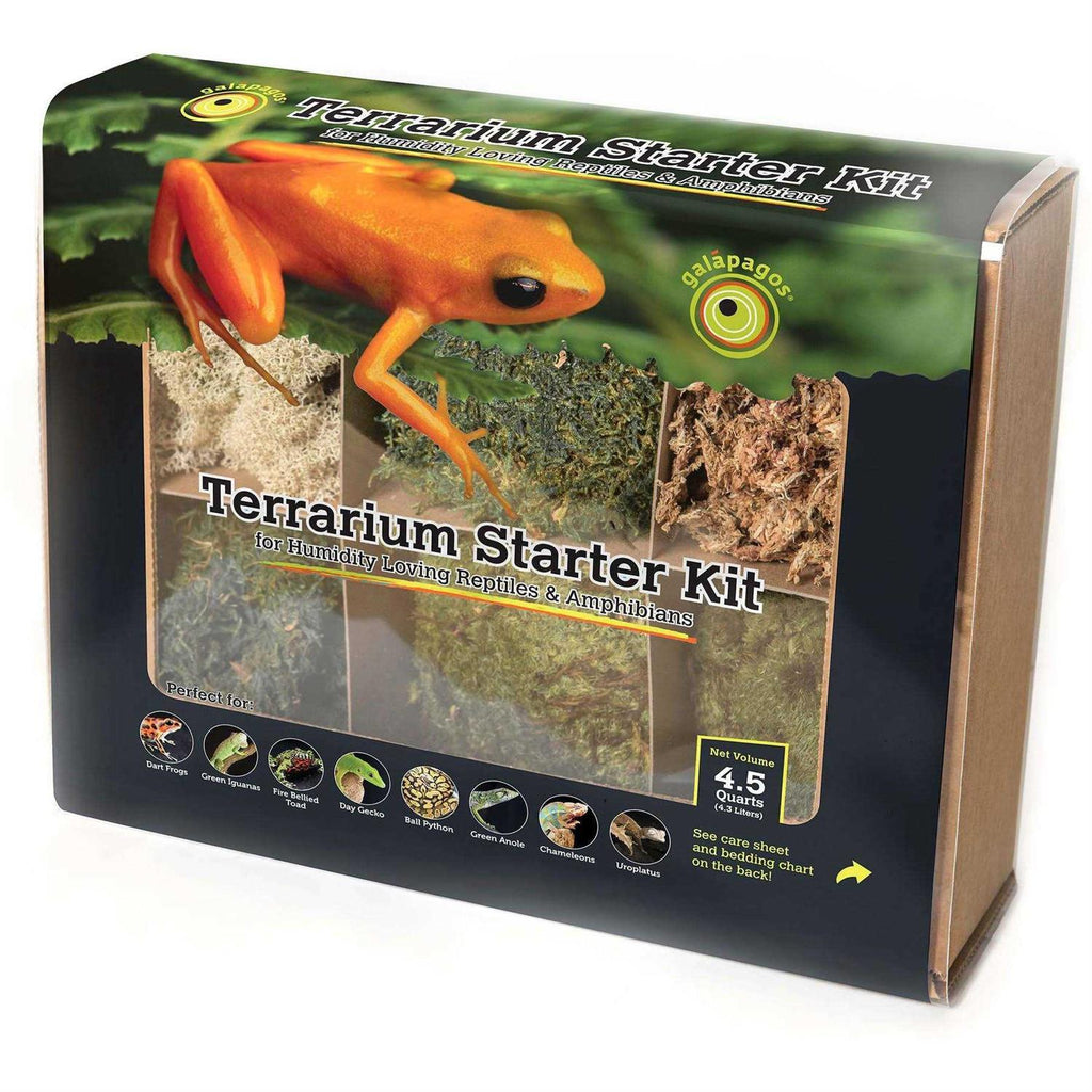 Terrarium Starter Kit L568