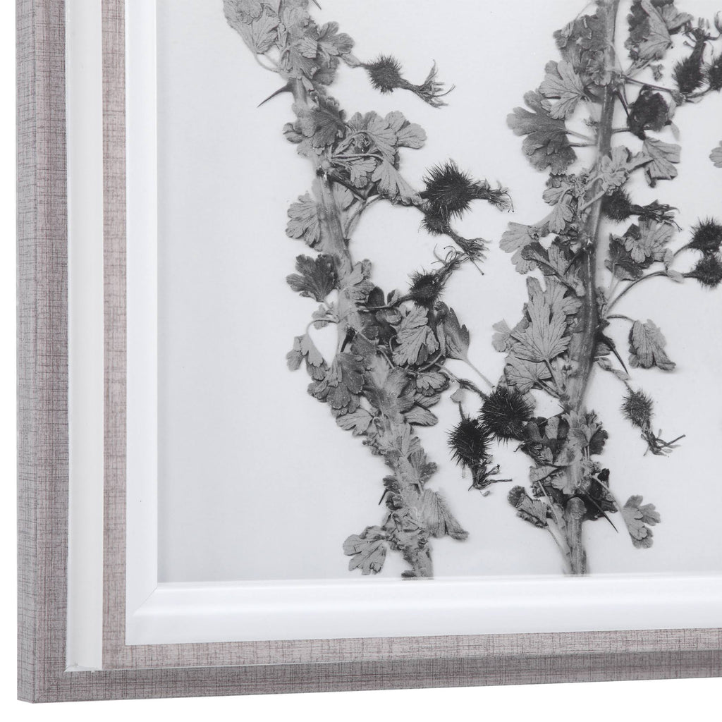 Contemporary Botanicals Framed Prints (Set of 12) J444946