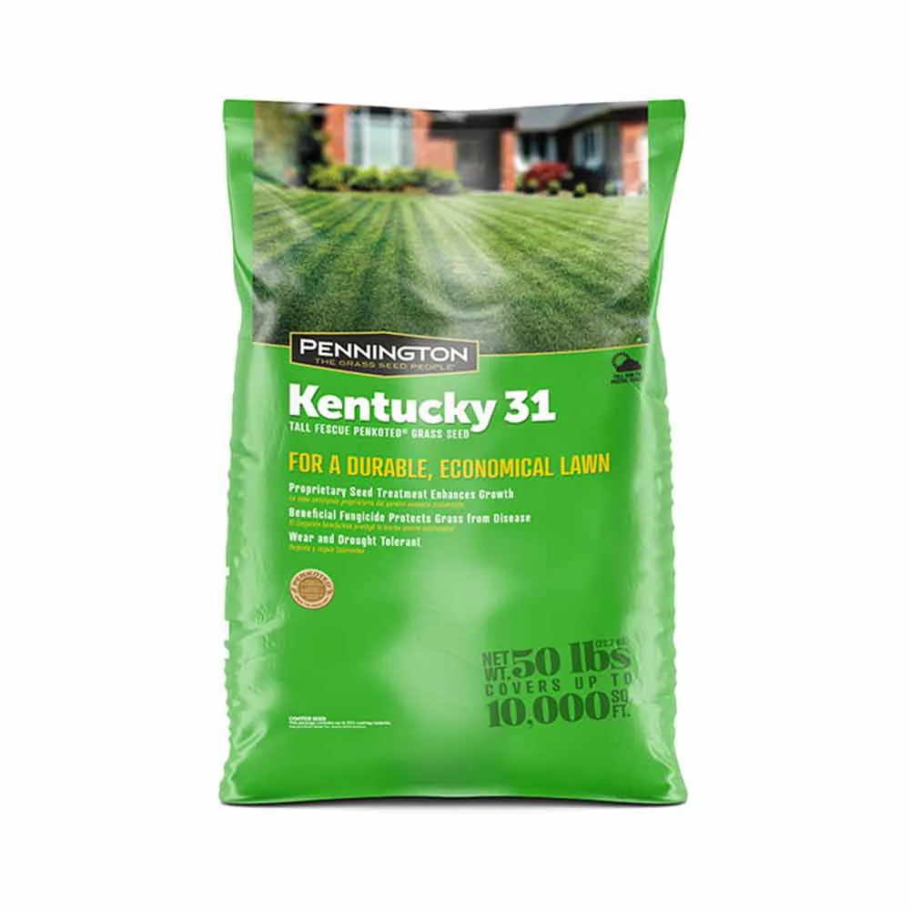 Tall Fescue Grass Seed 50lb Z81156