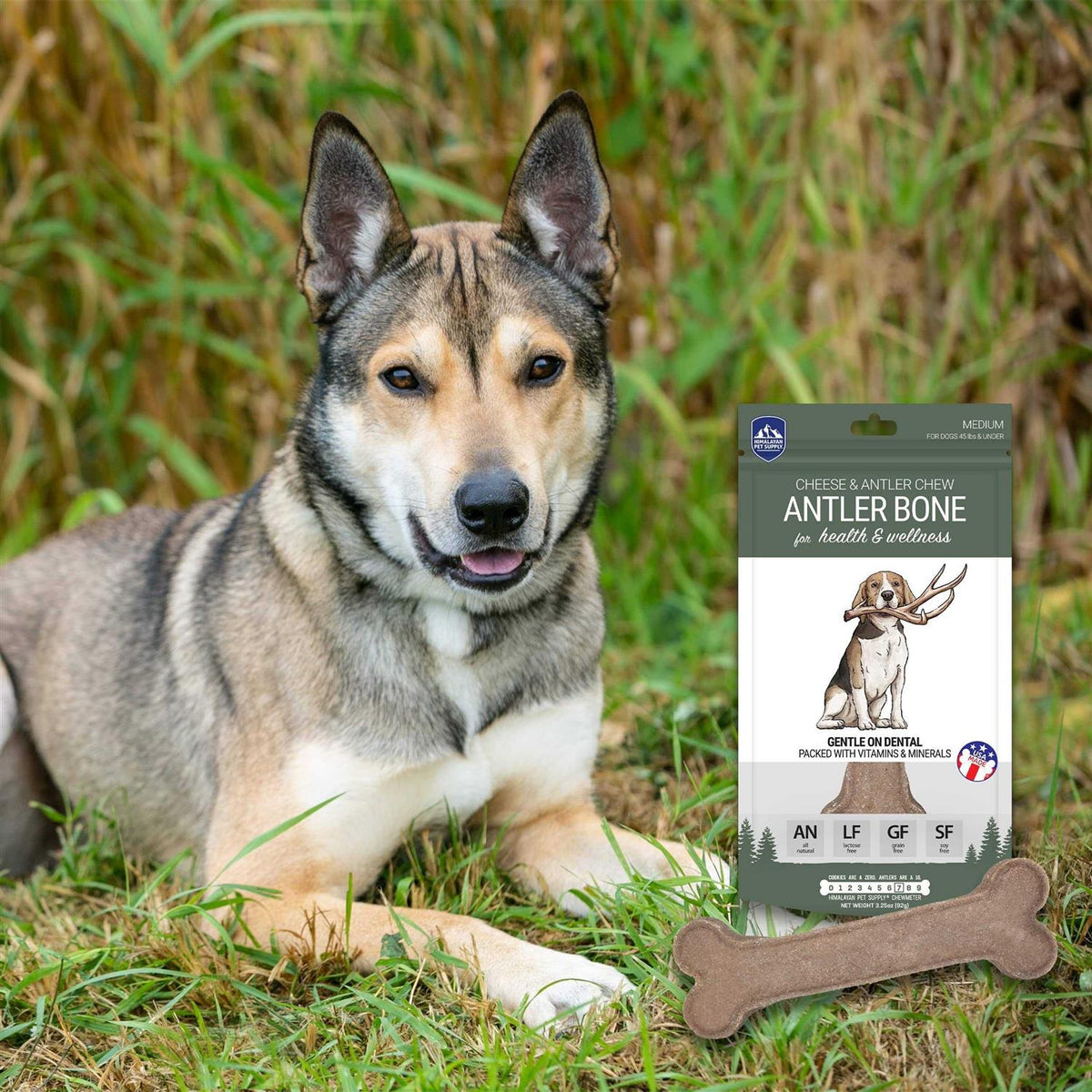 Dog Chew V526916
