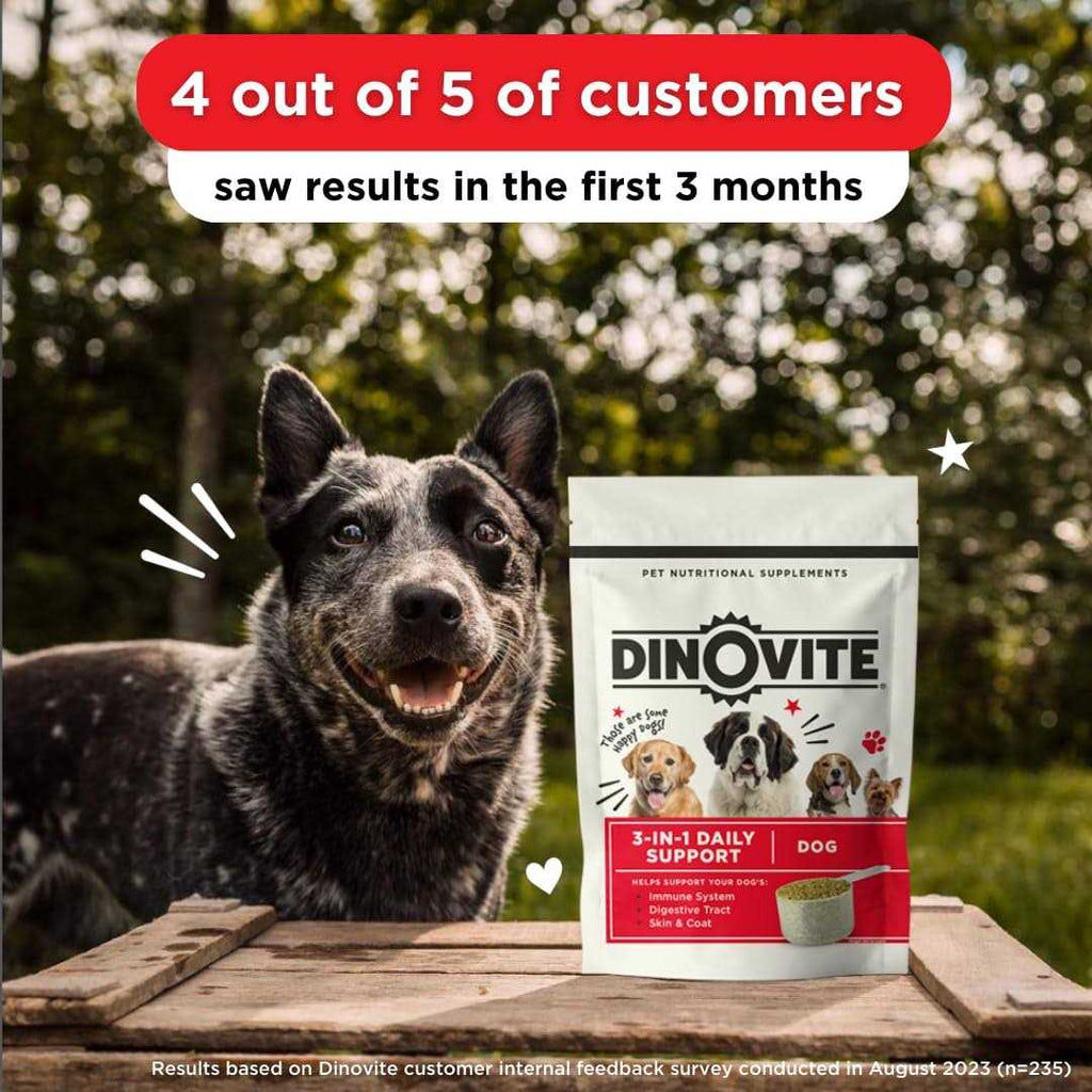 Probiotic Supplement for Dogs L7782