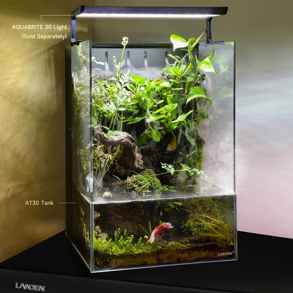 Terrarium All in One with Light, Water Pump, Mist-Flower and Mat A842
