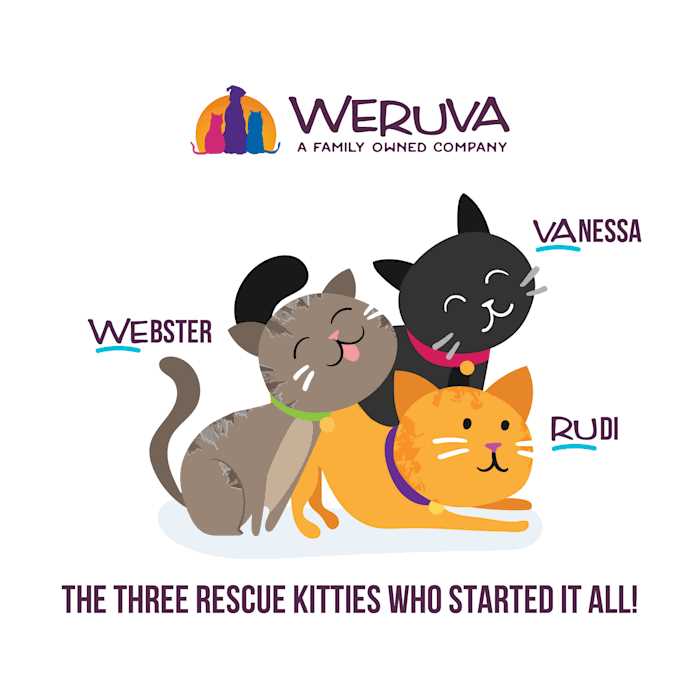 Variety Pack Wet Cat Food S7276