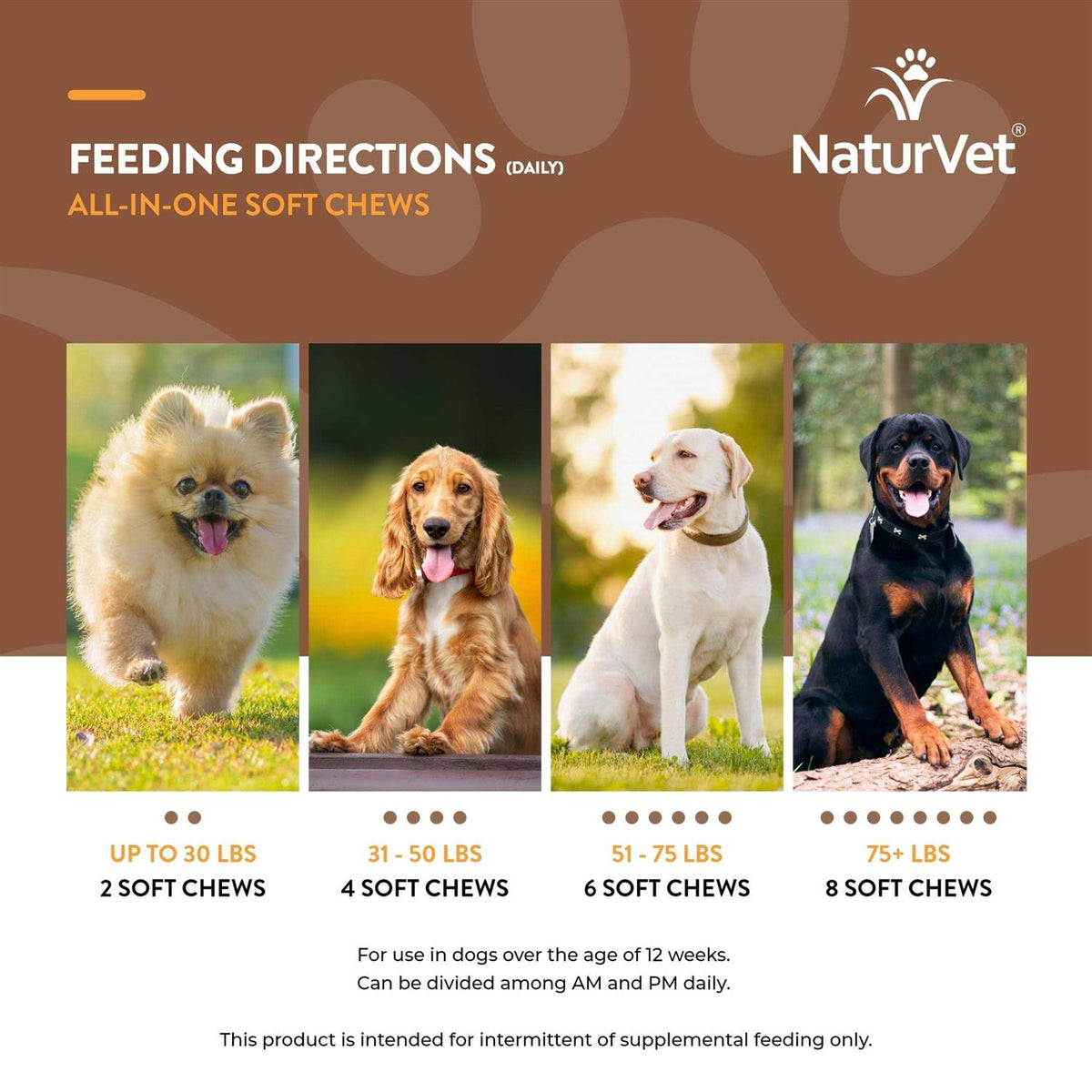 Dog Supplement for Joint Support Digestion J467