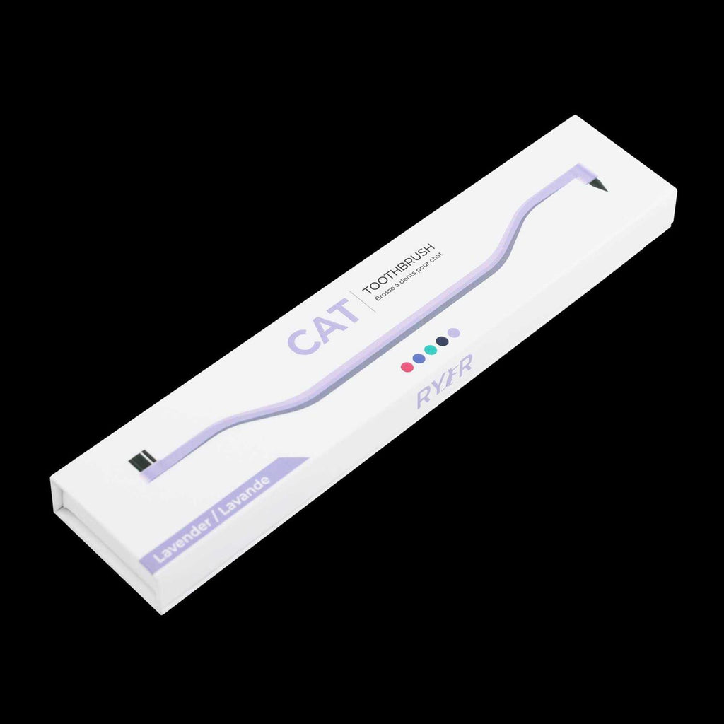 Dual Sided Cat Toothbrush B365280