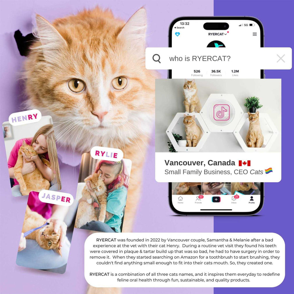 Dual Sided Cat Toothbrush B365280