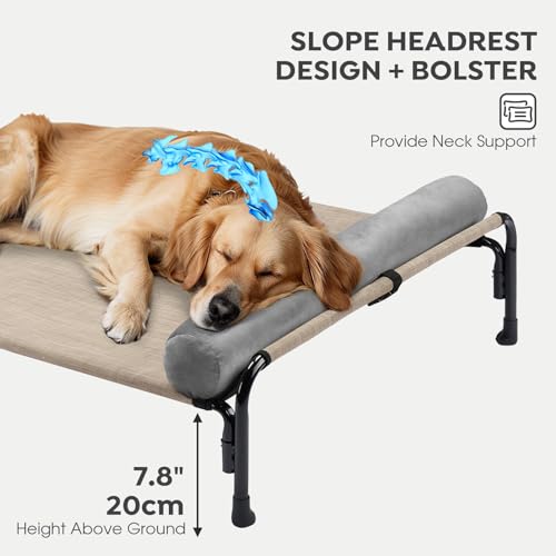 Large Elevated Dog Bed with Removable Headrest Bolster J4884