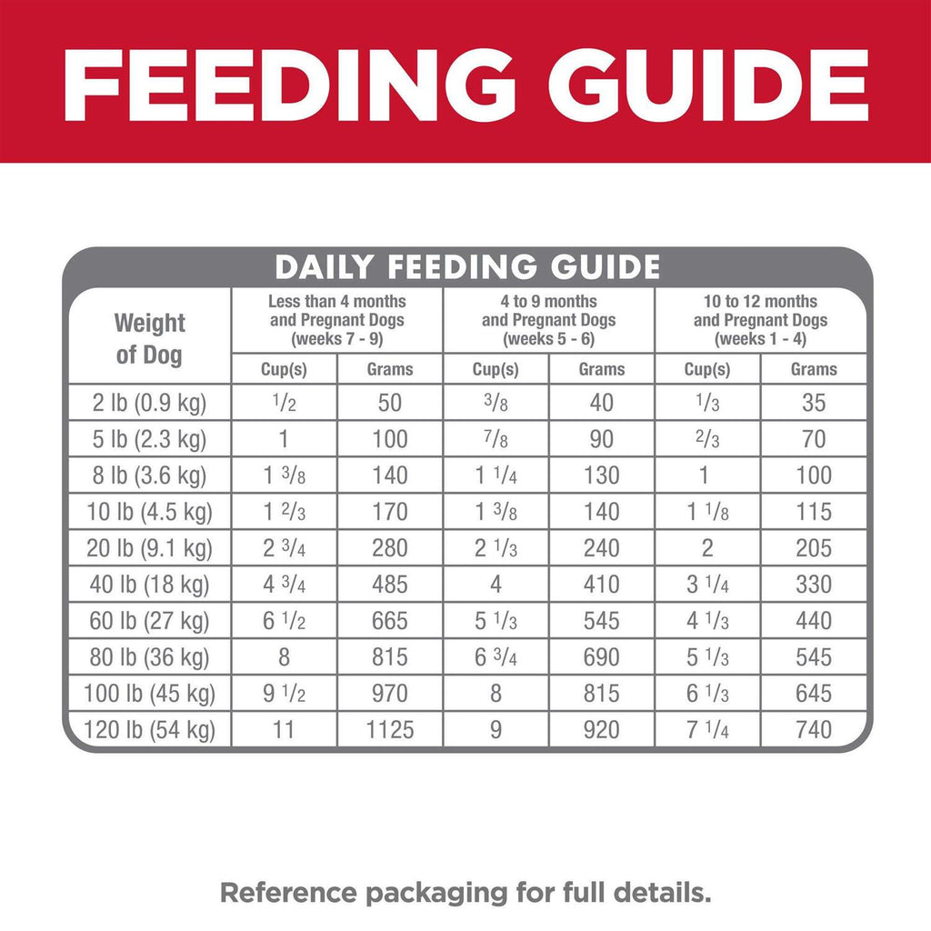 Dry Dog Food U85934