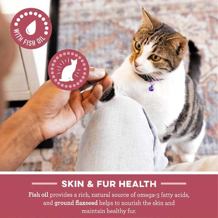 Salmon Dental Cat Treats B4537