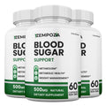 Blood Sugar Support 3 Pack X162