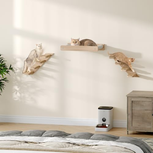 Wood Wall Mounted Cat Wall Shelves Set of 2 L601629