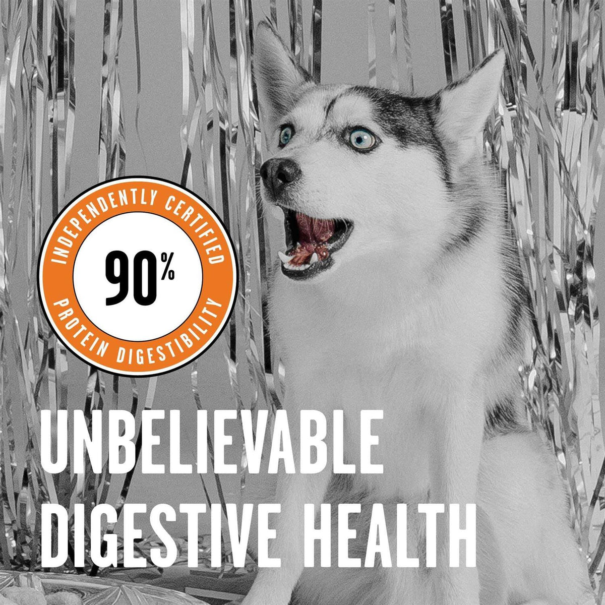 Chicken Recipe Dry Dog Food H37419