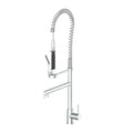 Brushed Nickel Kitchen Faucet W639