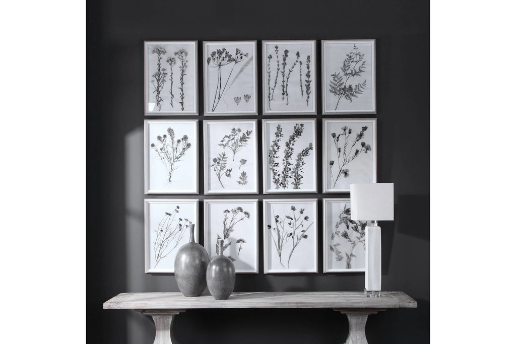 Contemporary Botanicals Framed Prints (Set of 12) J444946