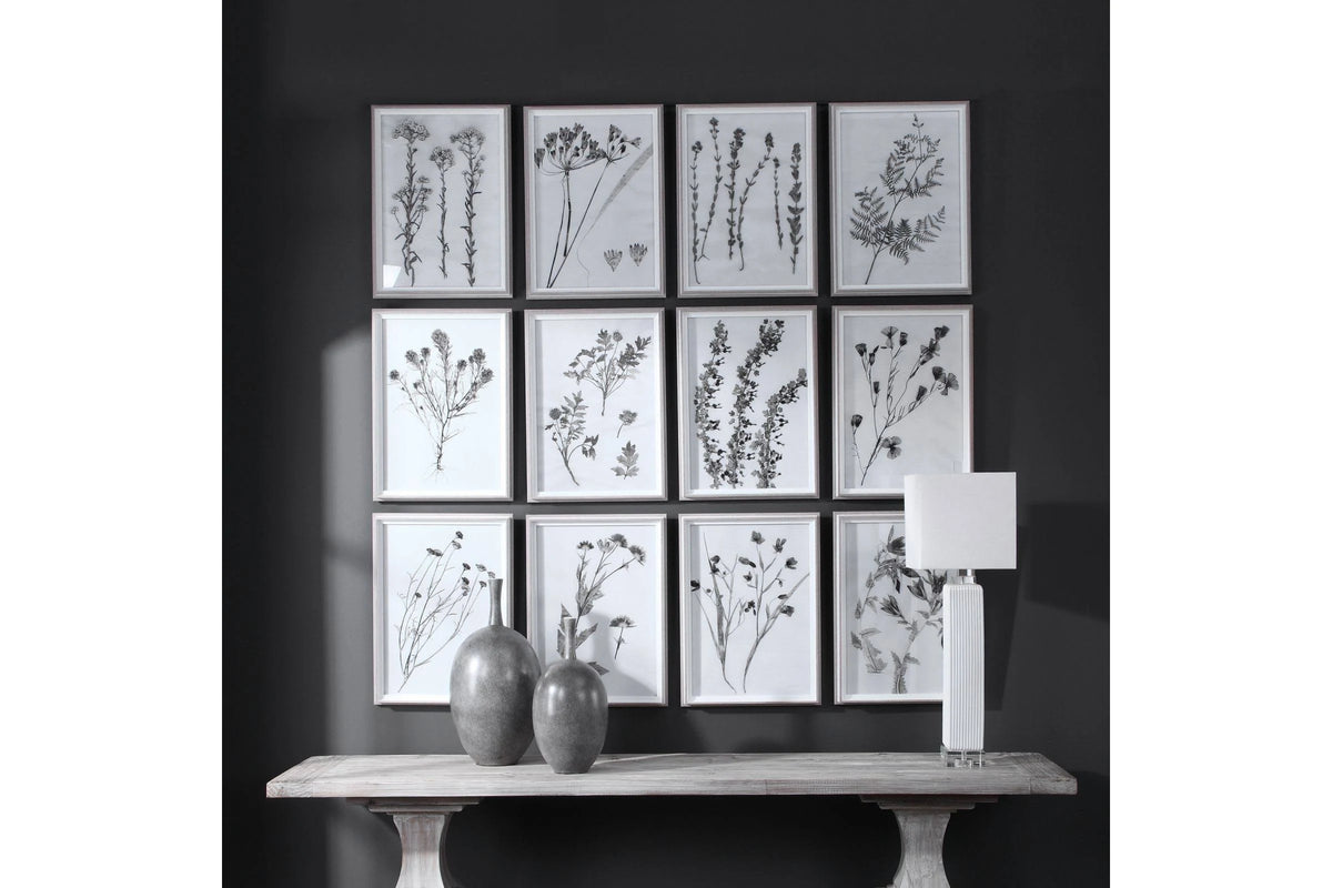 Contemporary Botanicals Framed Prints (Set of 12) J444946
