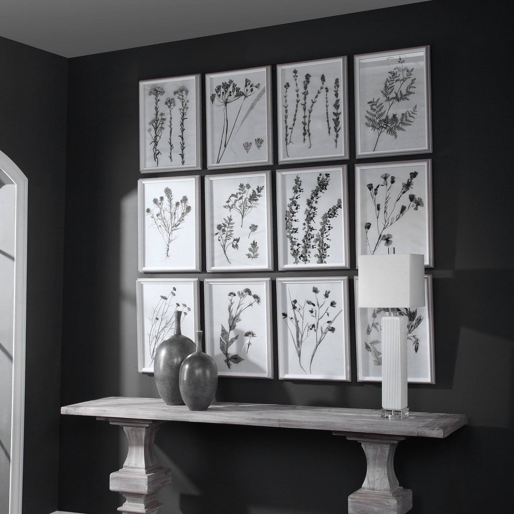 Contemporary Botanicals Framed Prints (Set of 12) J444946