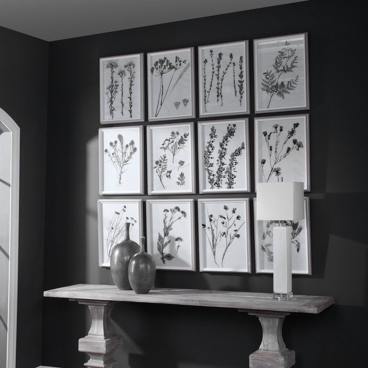 Contemporary Botanicals Framed Prints (Set of 12) J444946