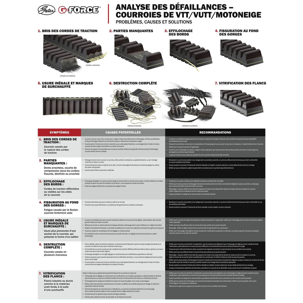 G-Force Recreational Belt W8362