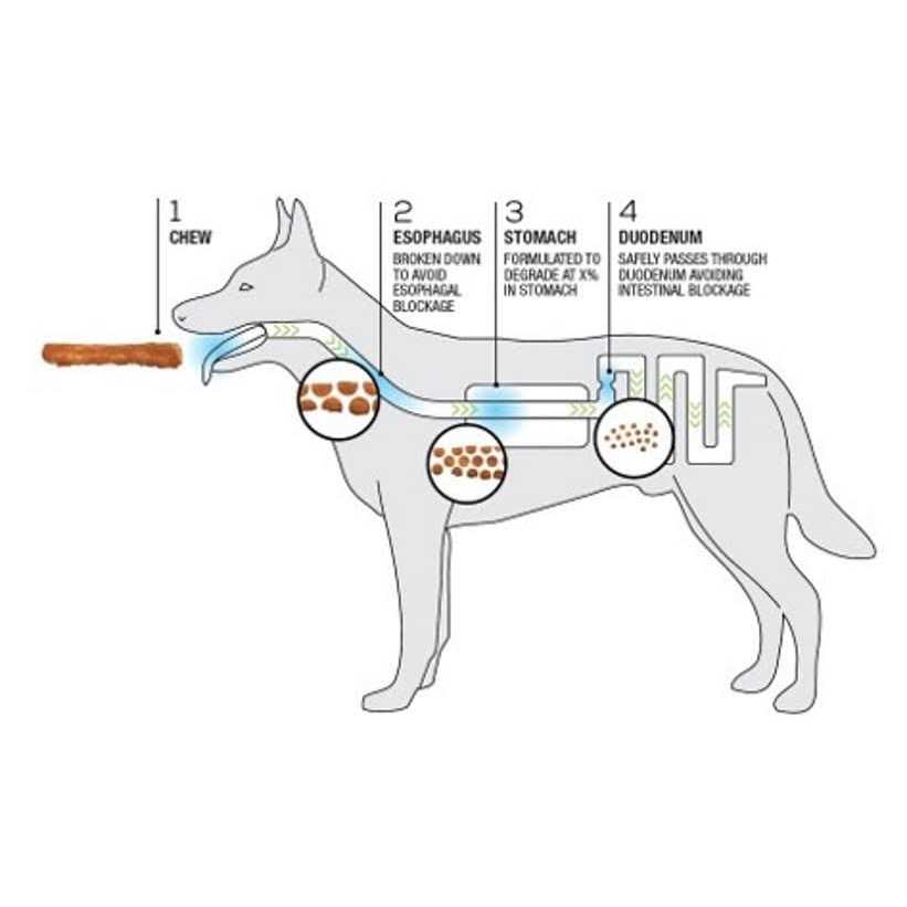 Dog Chews + Collagen Recipe M994160