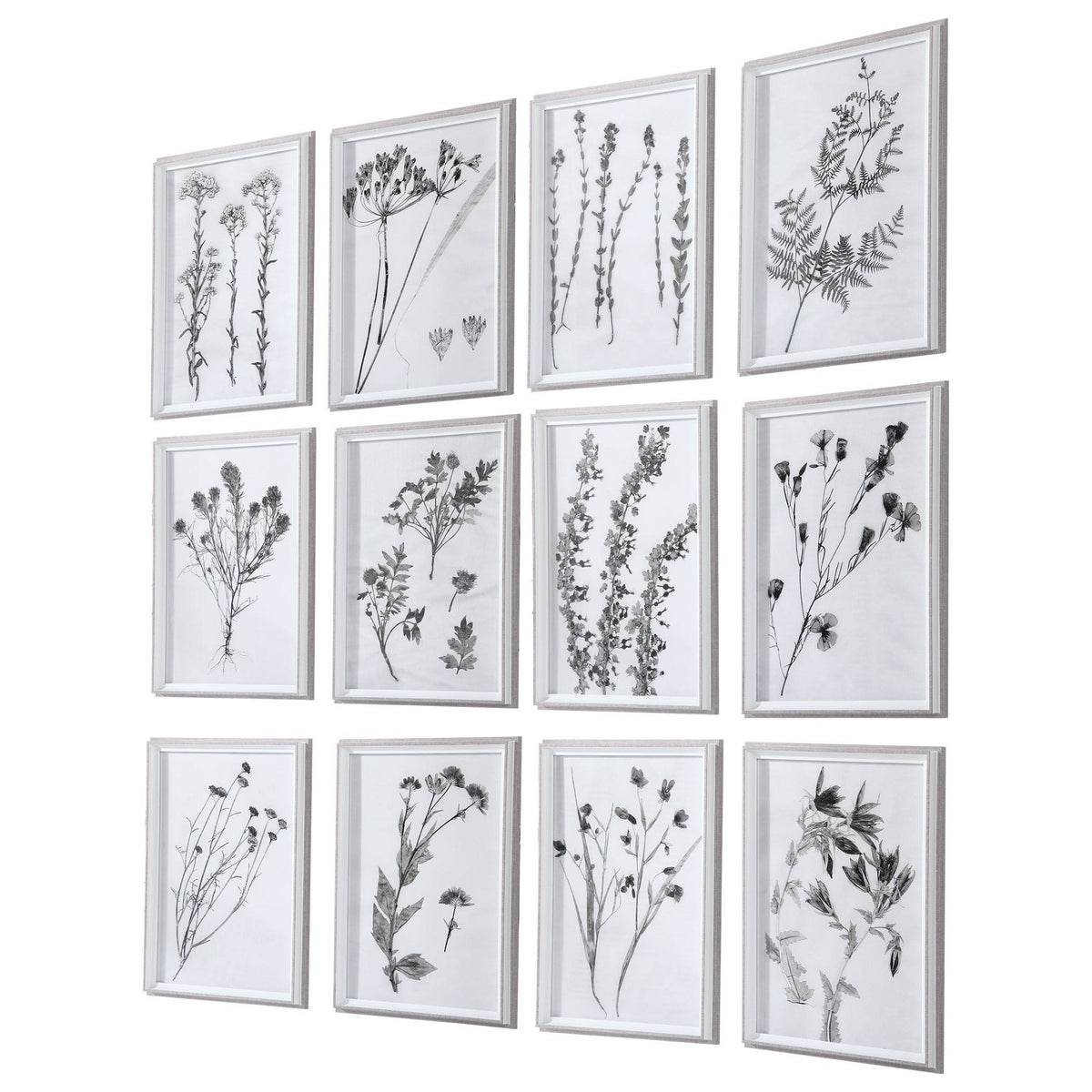 Contemporary Botanicals Framed Prints (Set of 12) J444946