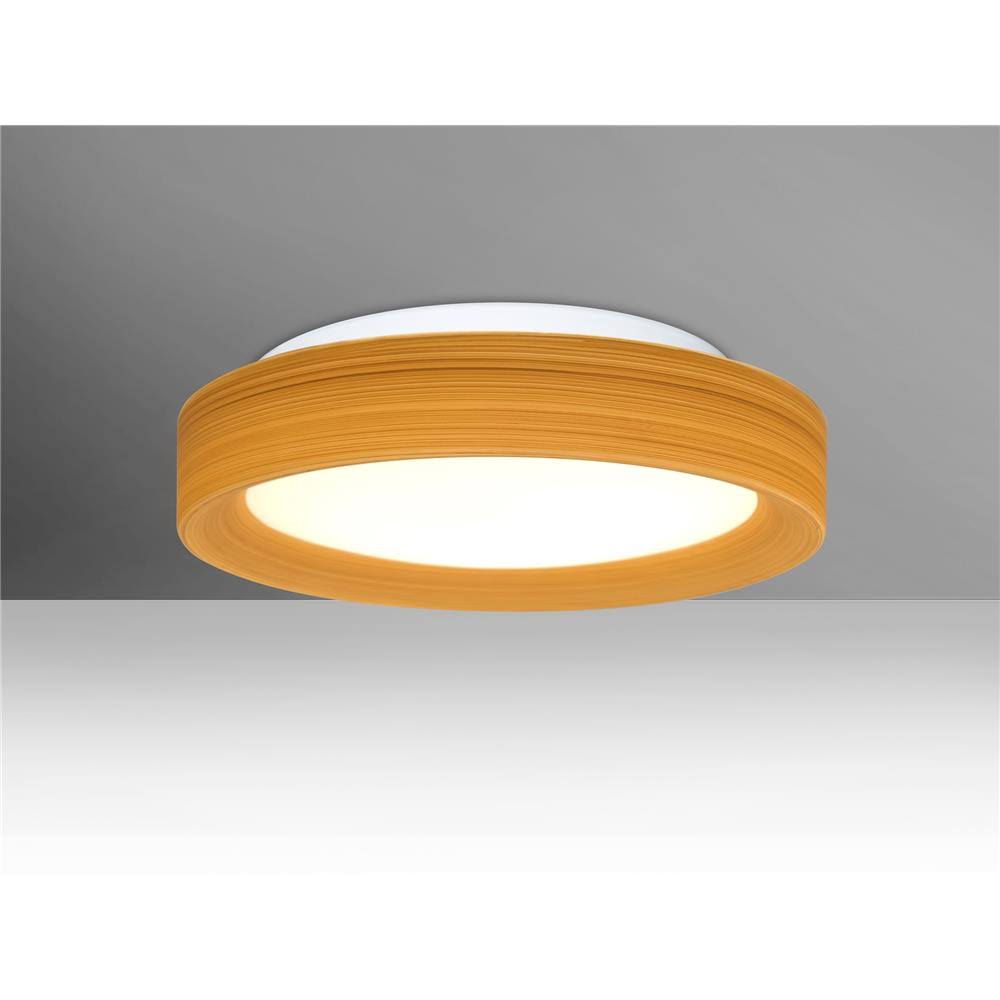 Ceiling Flush Mount Y7767
