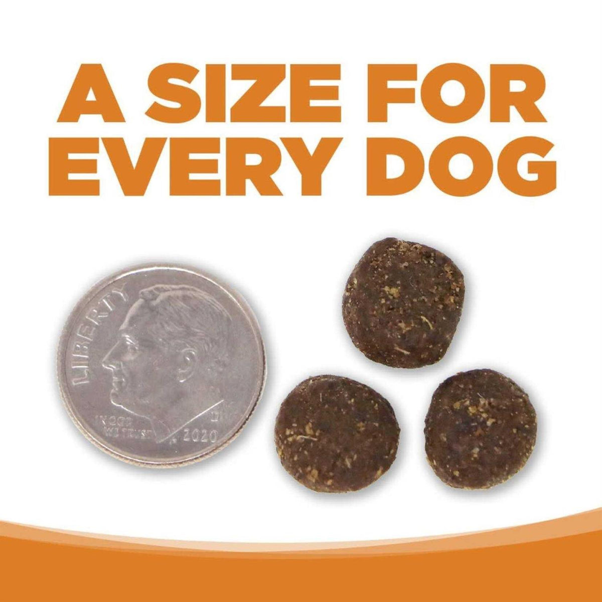 Lamb Rice Dry Dog Food F125
