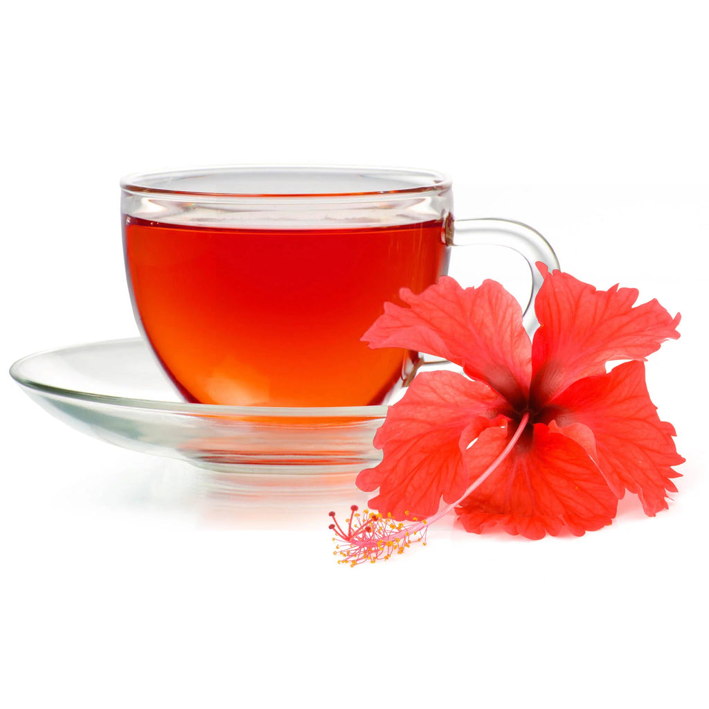 Hibiscus Tea 100 Bags W955
