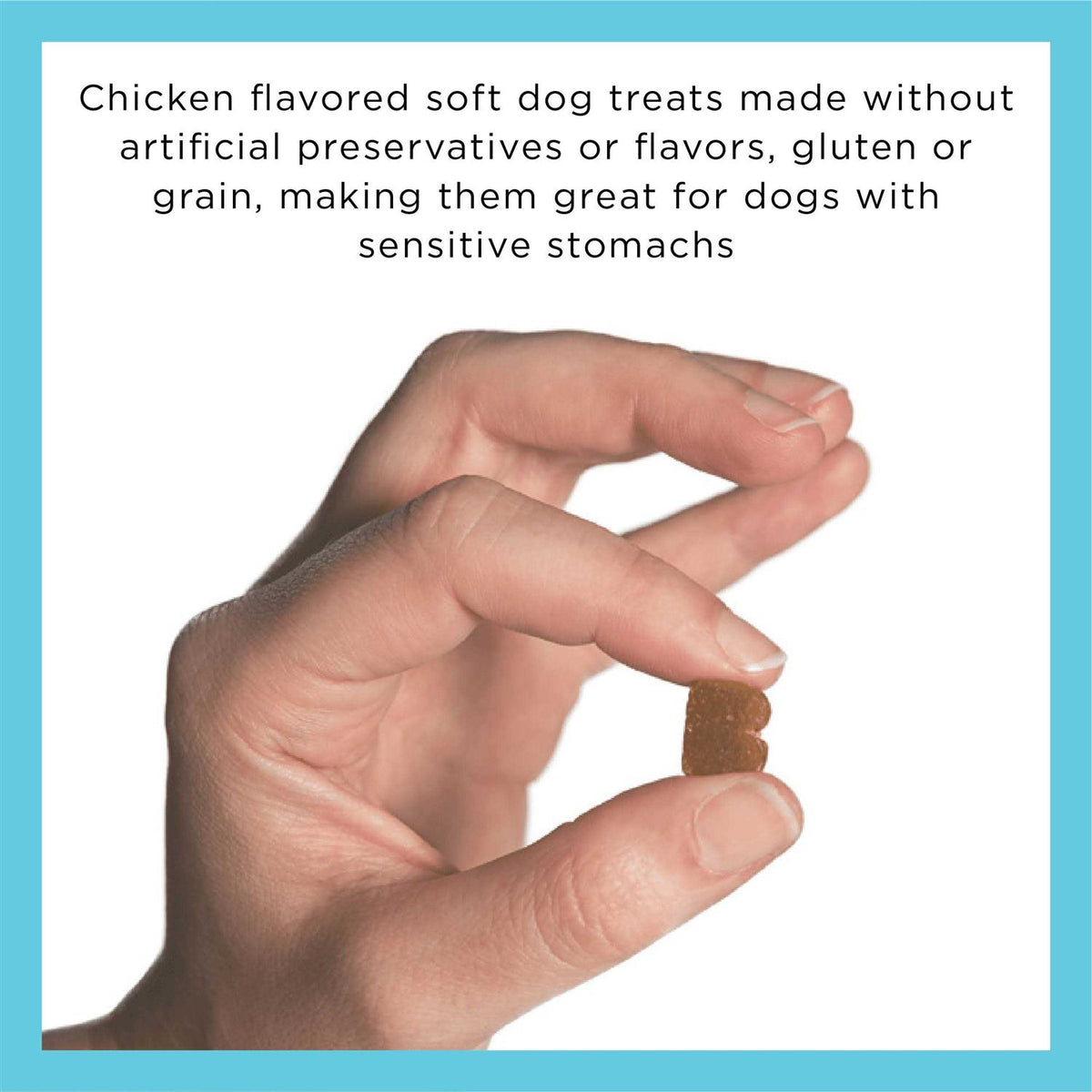 Dog Treats H305612