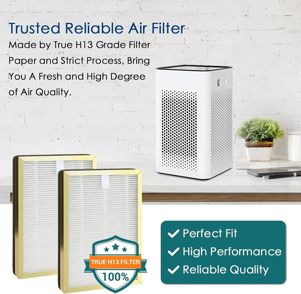 2 Set H13 True HEPA Replacement Filter D4015