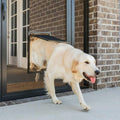 Pet Screen Door M9674